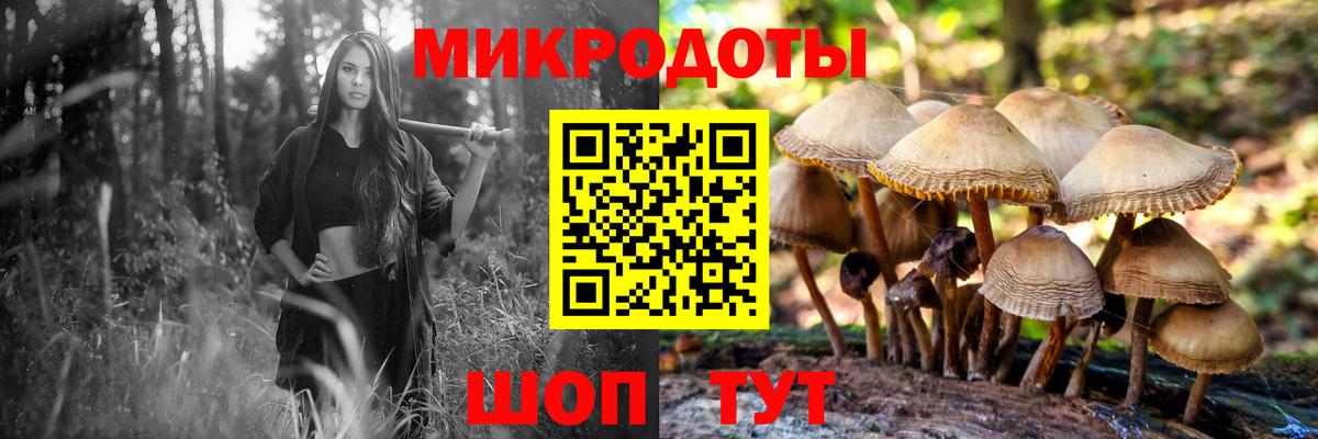 Галлюциногенные грибы Cubensis Пугачёв