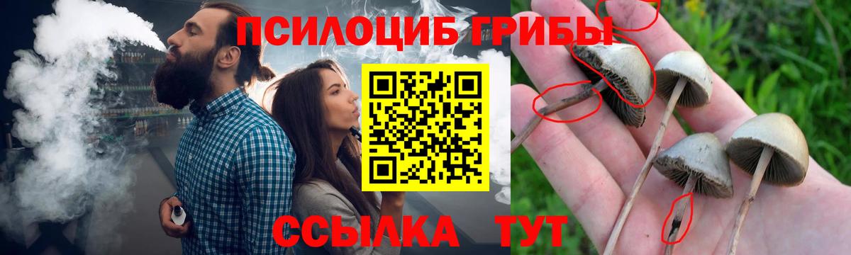 купить закладку  Галлюциногенные грибы Psilocybe  Вход с VPN  Пугачёв  Псилоцибиновые грибы мухоморы 