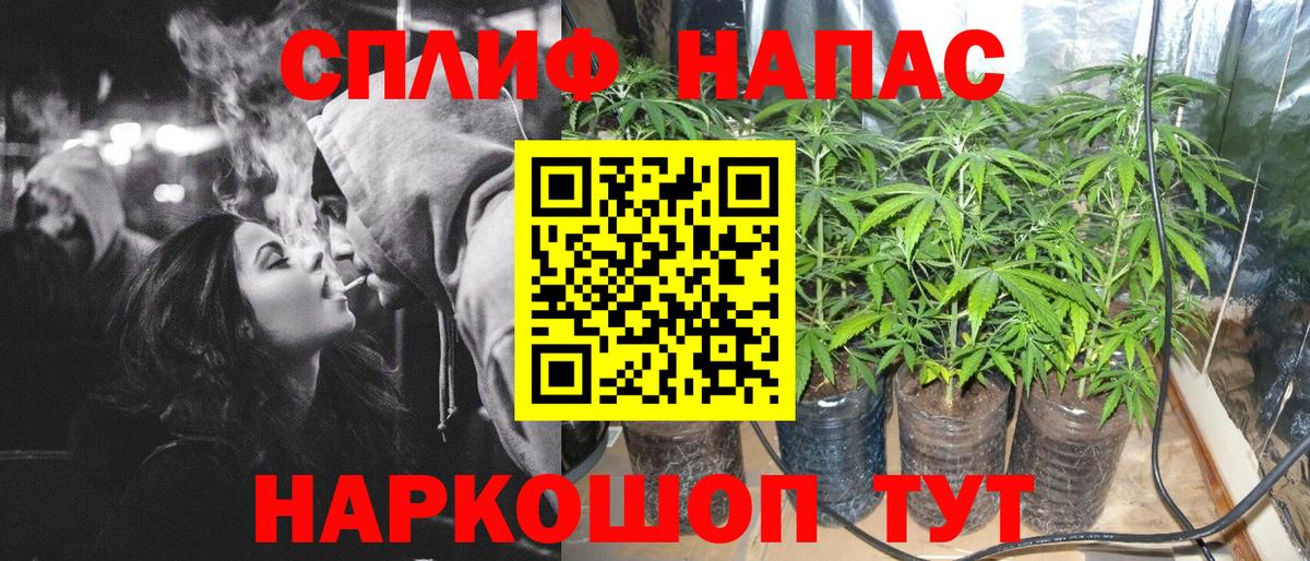 Марихуана гибрид  Конопля Amnesia  Пугачёв  Бошки Шишки VHQ  Вход с VPN 